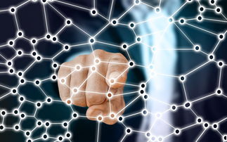 米兰官方网站-中国篮球职业联赛市场竞争策略分析，我国篮球职业联赛